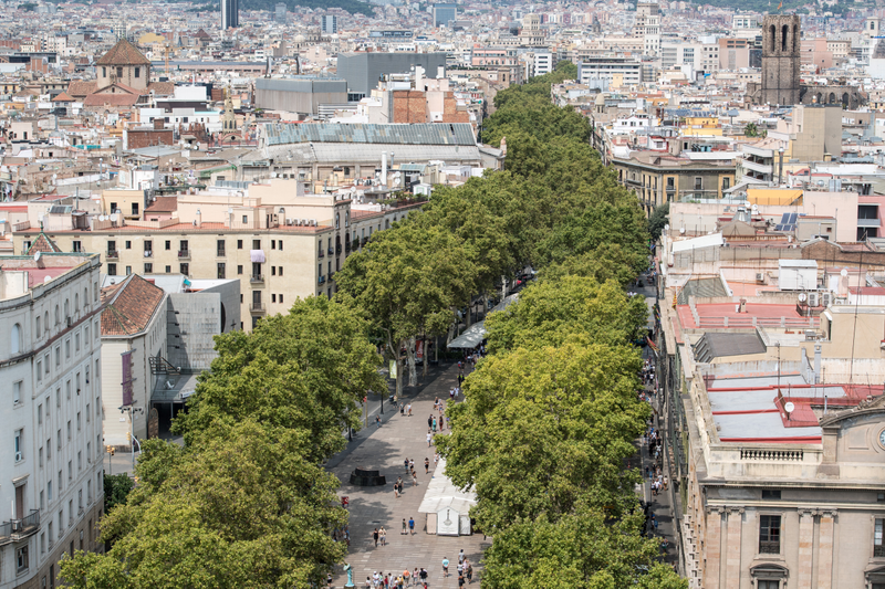 Trees line the Las Ramblas throughfare in Barcelona, Spain. Photo by Carl Court/Getty Images